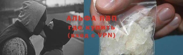 ГАЛЛЮЦИНОГЕННЫЕ ГРИБЫ Коряжма
