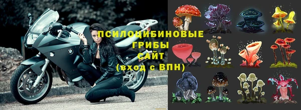 mdma Кодинск