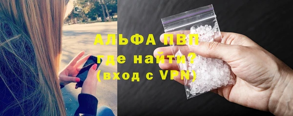 твердый Козельск