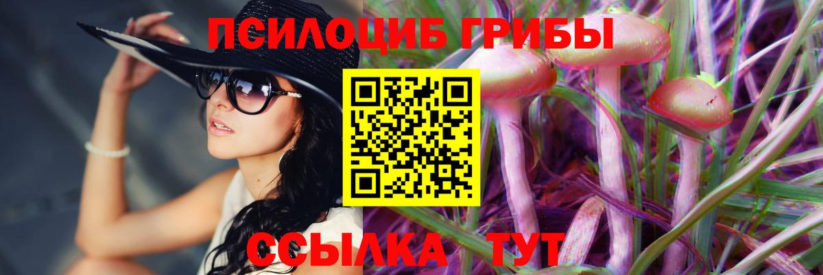 Галлюциногенные грибы GOLDEN TEACHER Лесозаводск